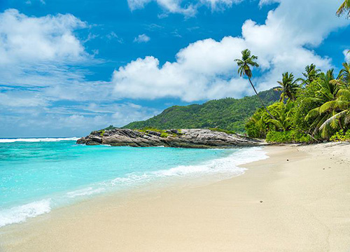 塞舌爾公司年審