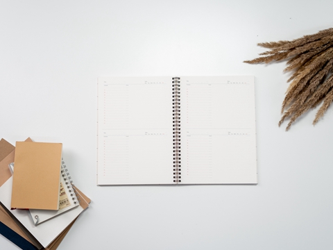 內(nèi)地股東的香港公司可以申請BUD專項基金嗎?