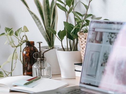 在香港進(jìn)行公證的全面指南