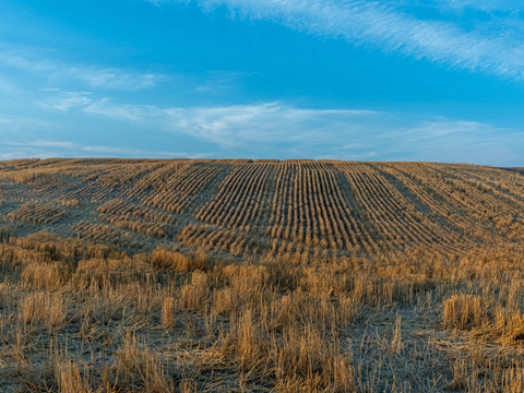 香港證據(jù)公證轉(zhuǎn)遞全解析：提升法律效率的新途徑